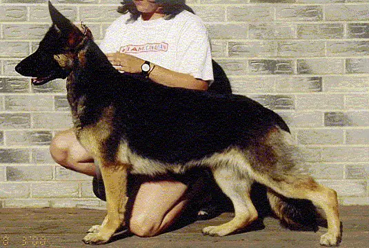 Appleridge's October Sky