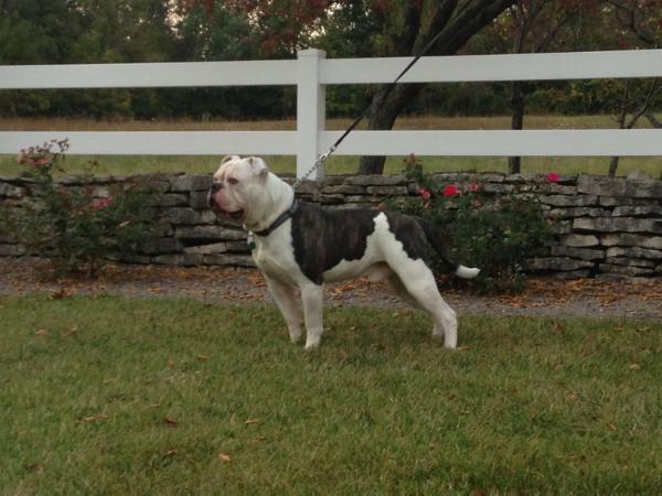 Tight N Tuff's Hurricane 3:16