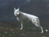 Aline von der Rheinebene