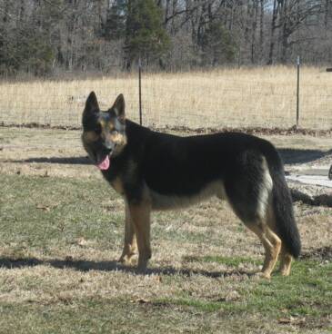 Baron Luker Von Vollenden Haus