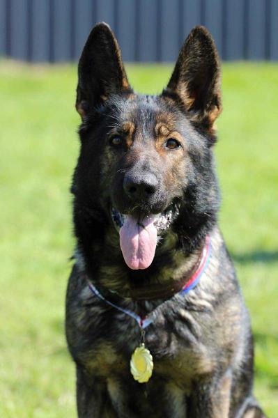 VG 2 (working class) XANTA Manepo Ideál