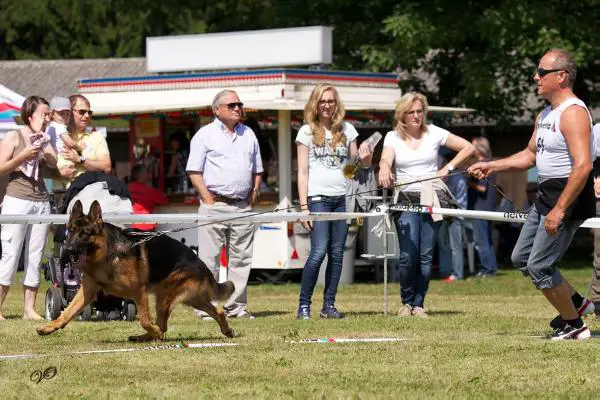Milo vom steilen Ufer