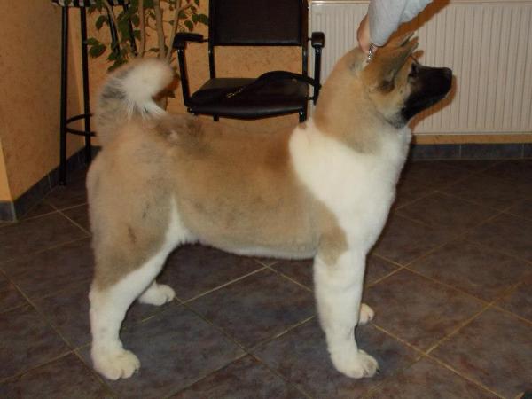 HPJ Infinity Of Soldier Park