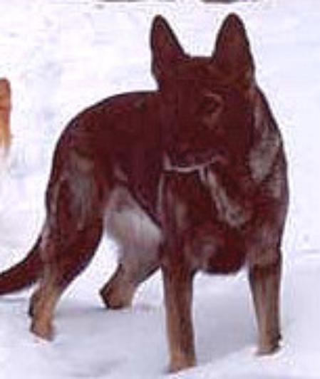 SG Rixi vom Posthorn