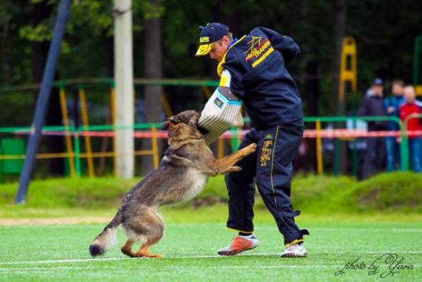 V Akula fom Grunen Stadt