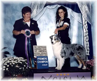 INTL, AKC, ASCA CH Los Pinos Sapphire on Ice
