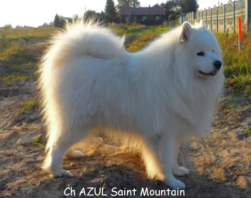 CH Azul saint mountain