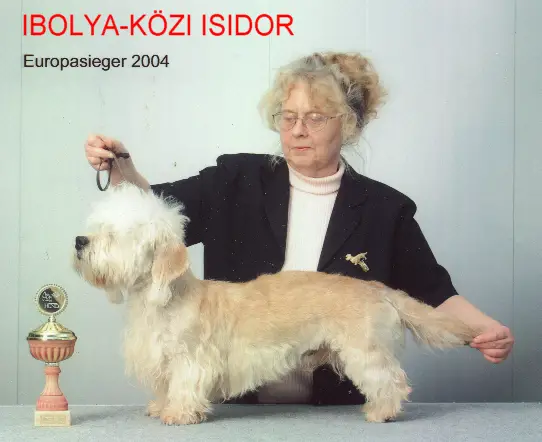 Ibolya-Kozi Isidor
