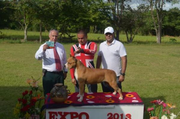 CAMP.MEX.GCM VON TRUJER RED PERCY BY CARDENAS