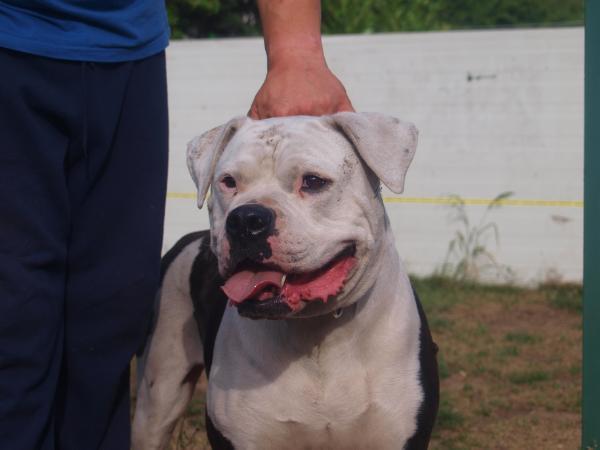 White Skys Aruma aka Kira