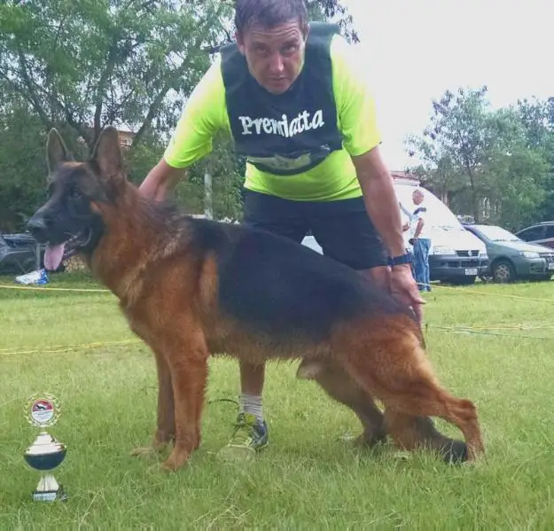 Remo di Famiglia Cerri