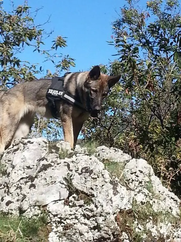 Emy di casa mariotti