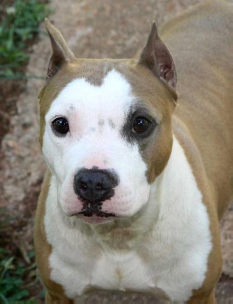 Emerald Creek's Ruffian Gem