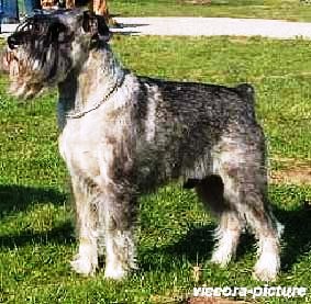CH Jasper v. Kreuzbruch
