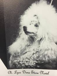 AM CH Lyca Dime Store Novel