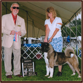 AKC CH Summit's One Hot Mama