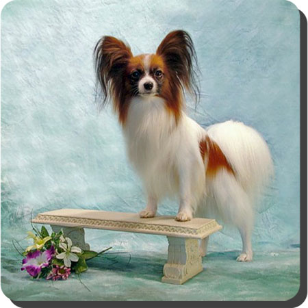 Caratoots Charlemagne's Crown