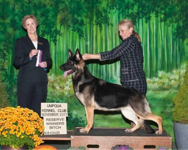 Valley View's Champagne Kisses