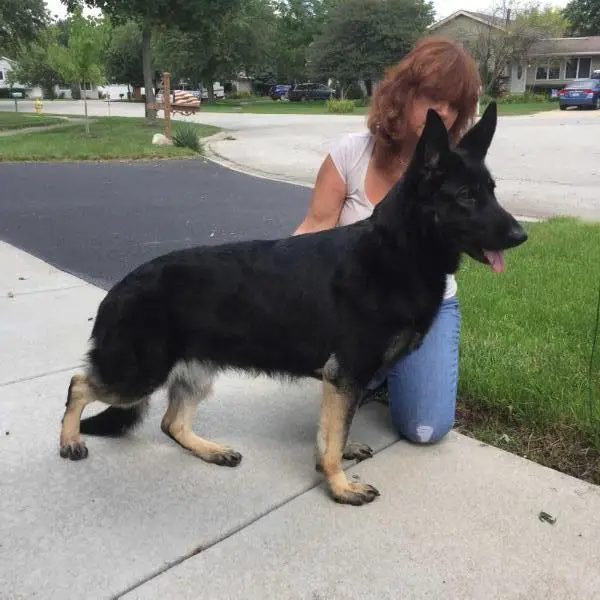 Renfaires Ravens Black Majik V. Lakepoynte