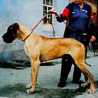 Mermoz des Petites Vernieres