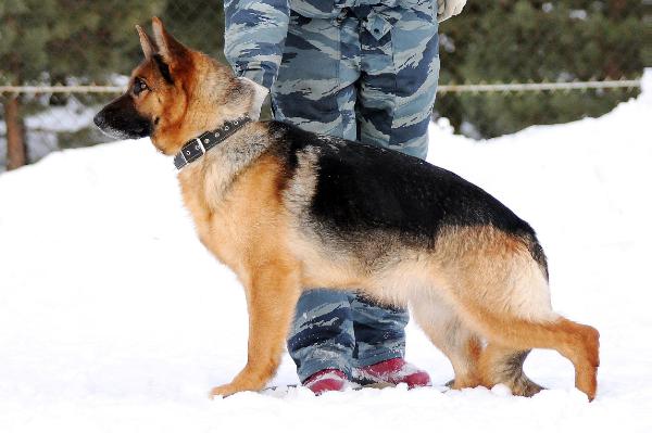 Zilber Wasserfall Gordost'