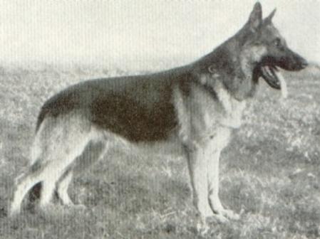 V Zar zu den Sieben-Faulen