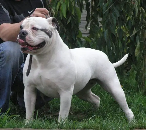 VIVID GIRL VENTURESOME