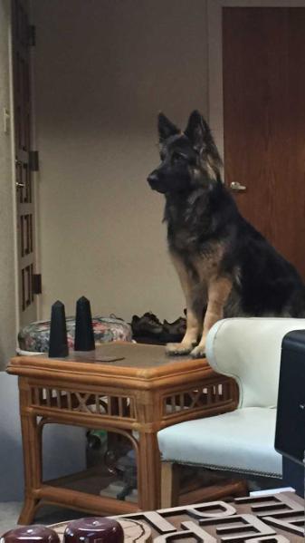 Nora Von Schloss Berge