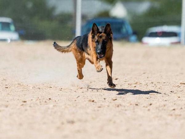 RATCH Eos von Orumhaus