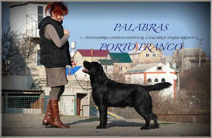 PALABRAS PORTO FRANCO