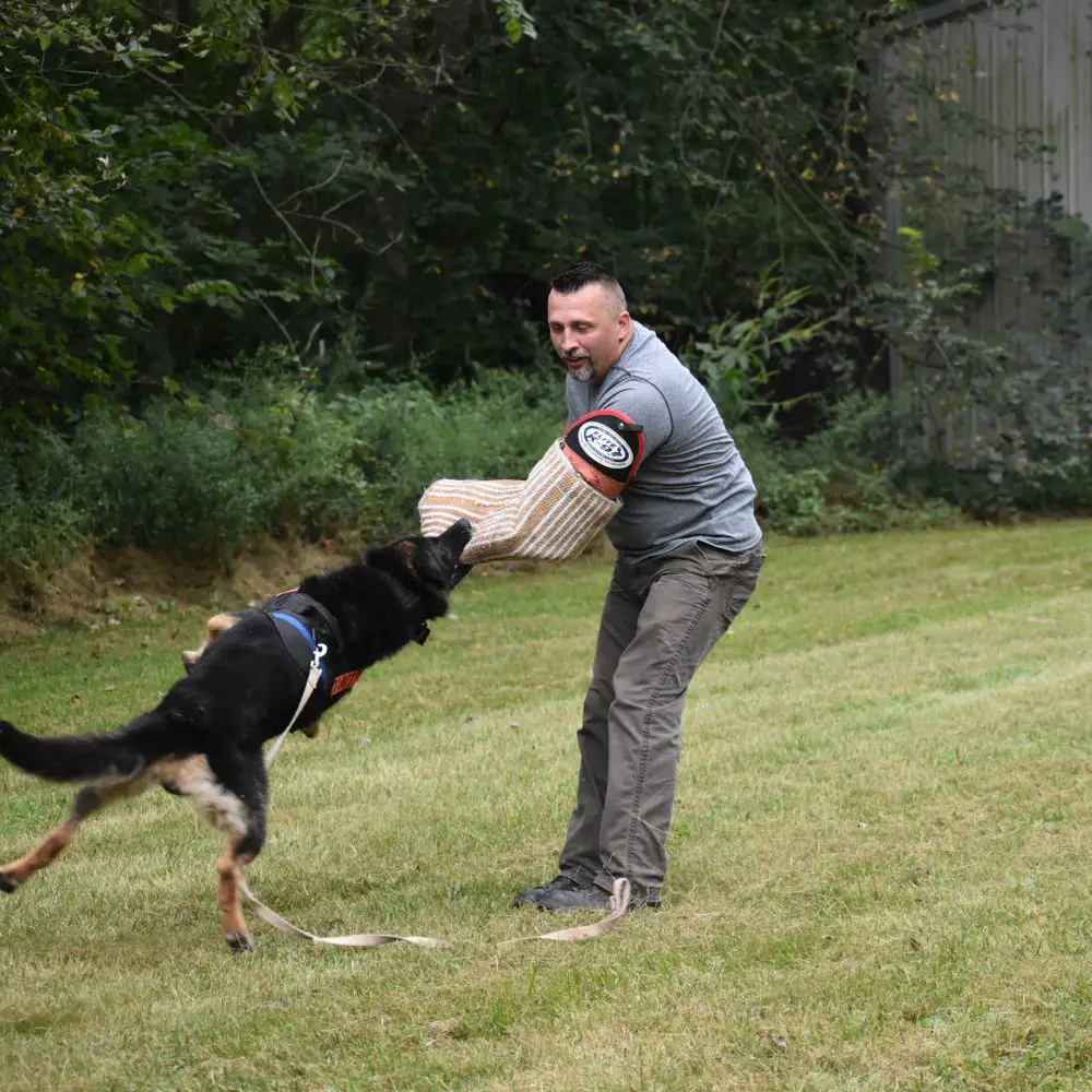 Arkan Von Der Gnadehund
