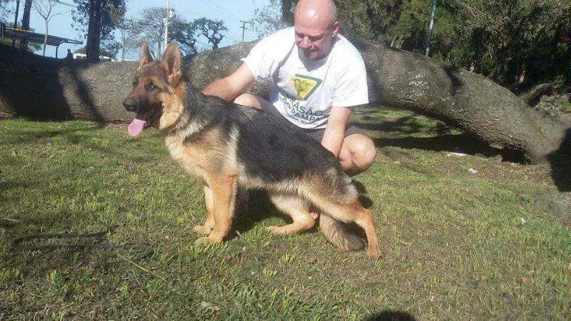 Dimba do Mar Vermelho