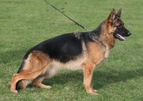 Ilieva du val d´anzin