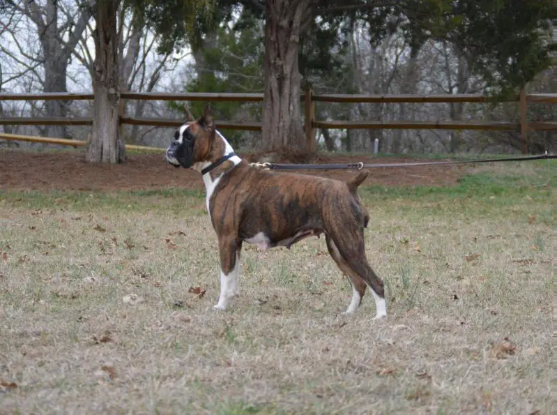 That Old Black Magic v. Euro Boxx