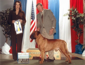 Knatchbull's Eye Of The Storm