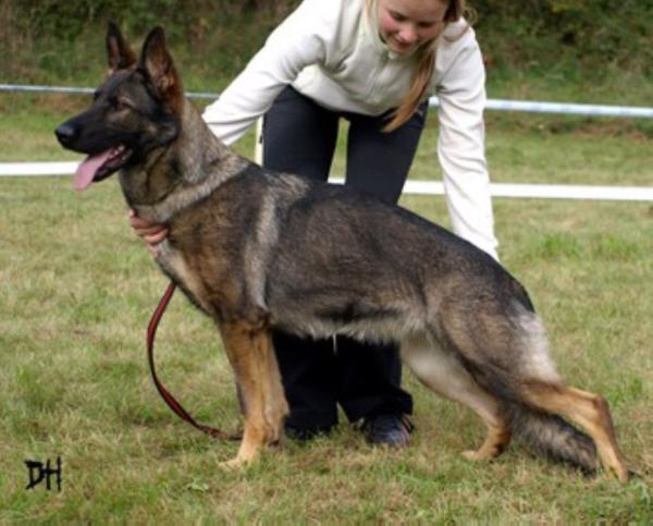 SG Heike ze Stribrneho kamene