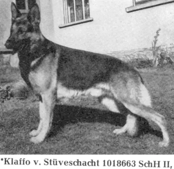 Klaffo vom Stüveschacht