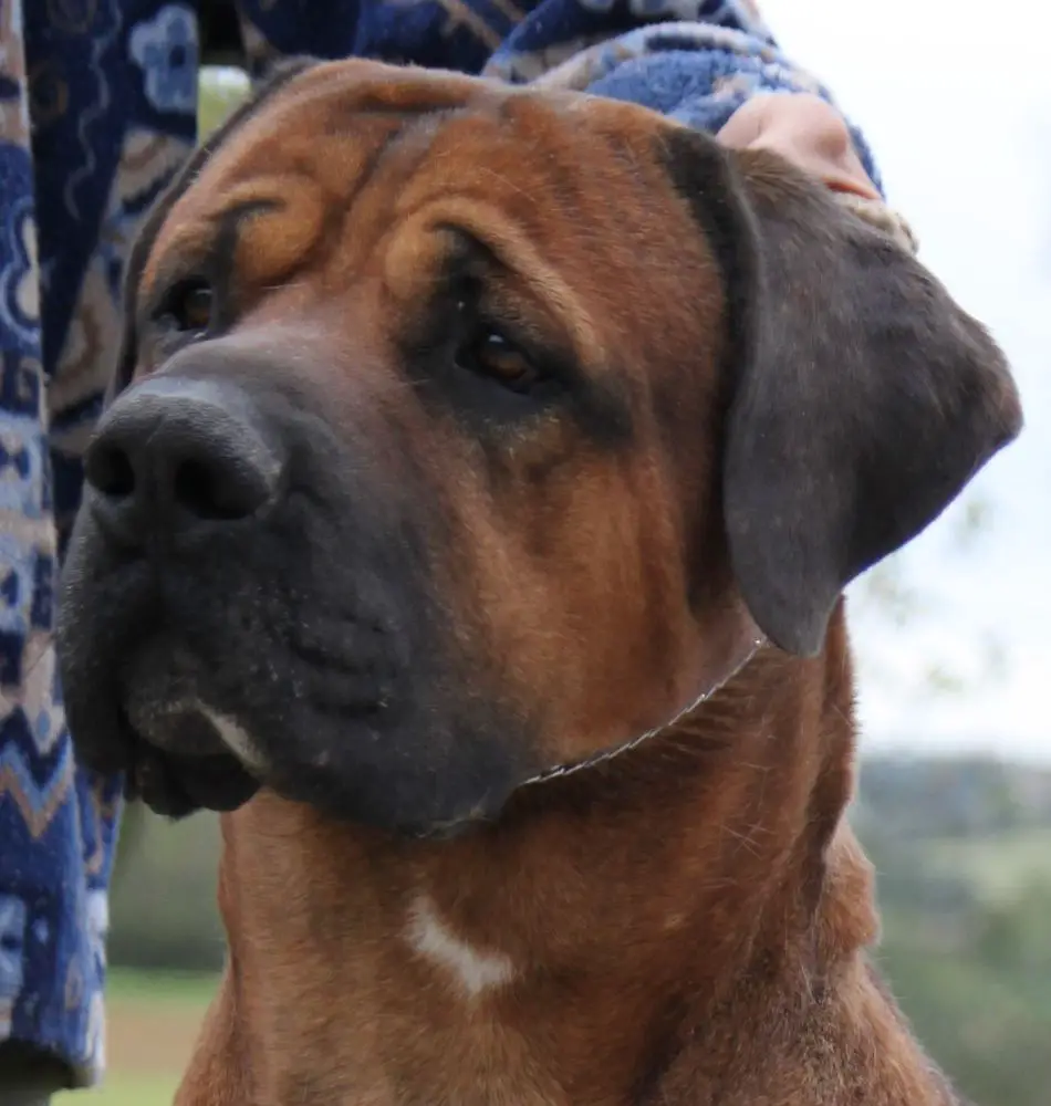 EW 13, WW 17 Bruce Tisama Tosa Ken