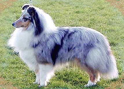 Edglonian Kiss N'Tell