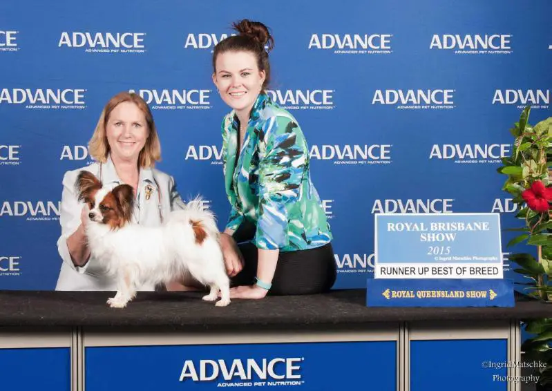 Clockwork Beautiful To Go