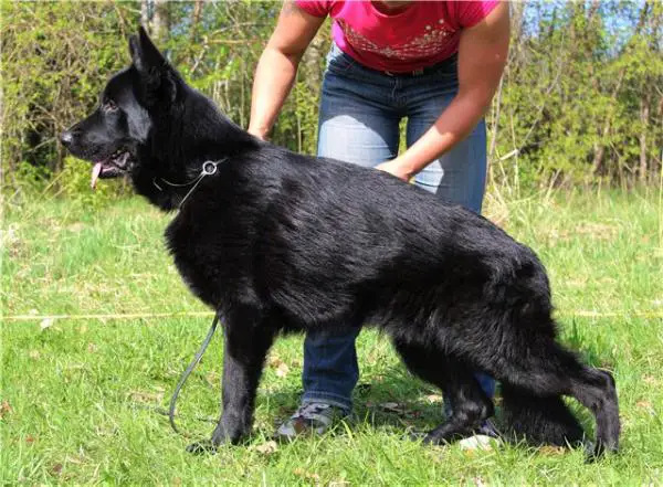 V Zilber Wasserfall Oligarh 2