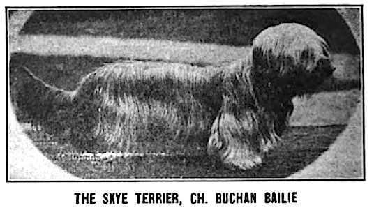 Buchan Baillie (early 1900s)