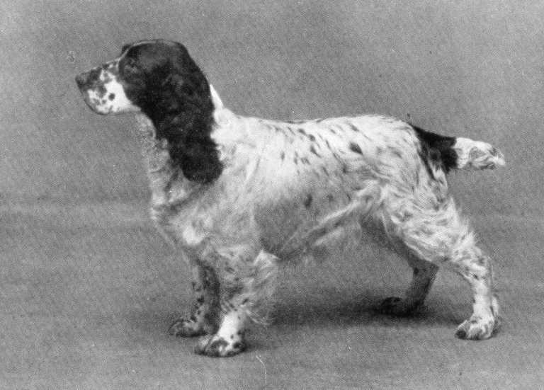 CH Wribbenhall Whitewash