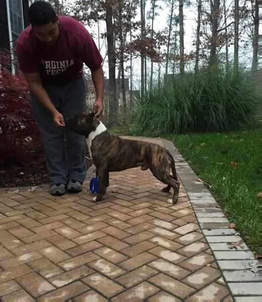 Christian's BNT Righteousness Unchained