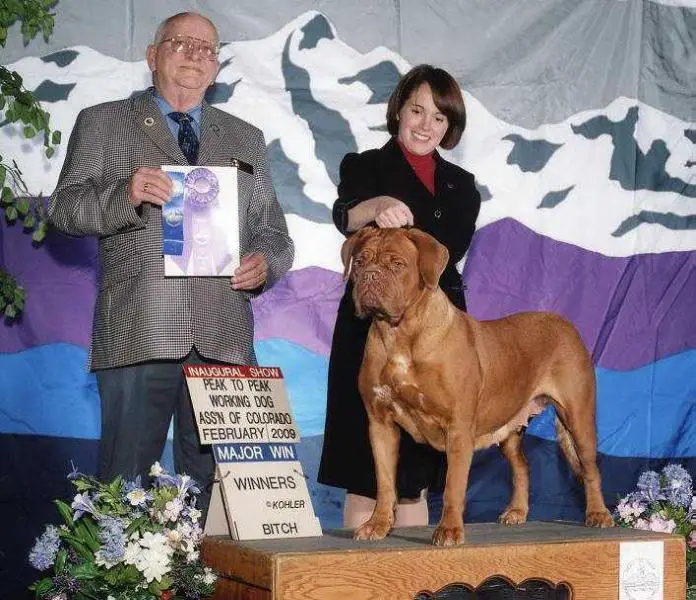 AKC & Hungarian Champion Tanakajd Szepe Zizi