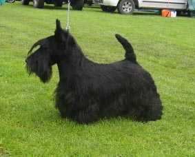 JUSCOT KISSED BY THE MOON