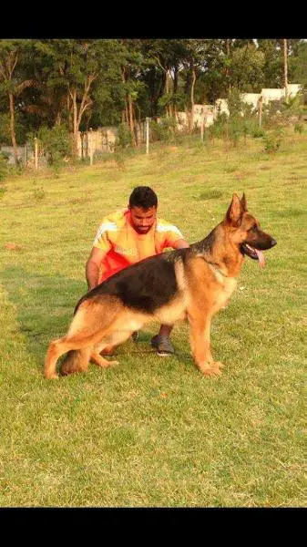 Forbe do Mhuramel