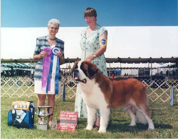 CH (AKC) Benbaron's Knight O'Iceman