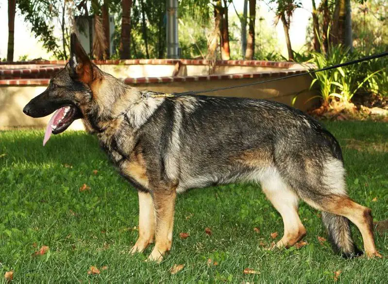 Mystique von der Daelenberghütte