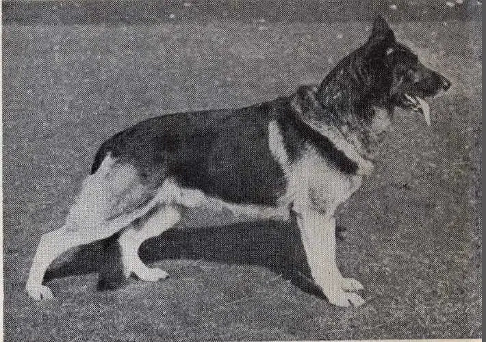 CH (UK) Jet of Seale